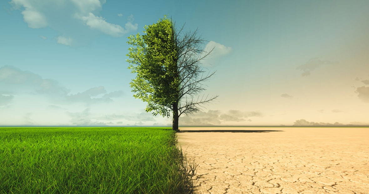 changement climatique